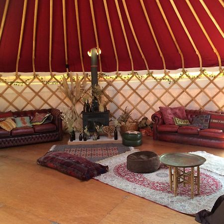 Silver Airstream Glamping & Rental Chichester Exterior photo