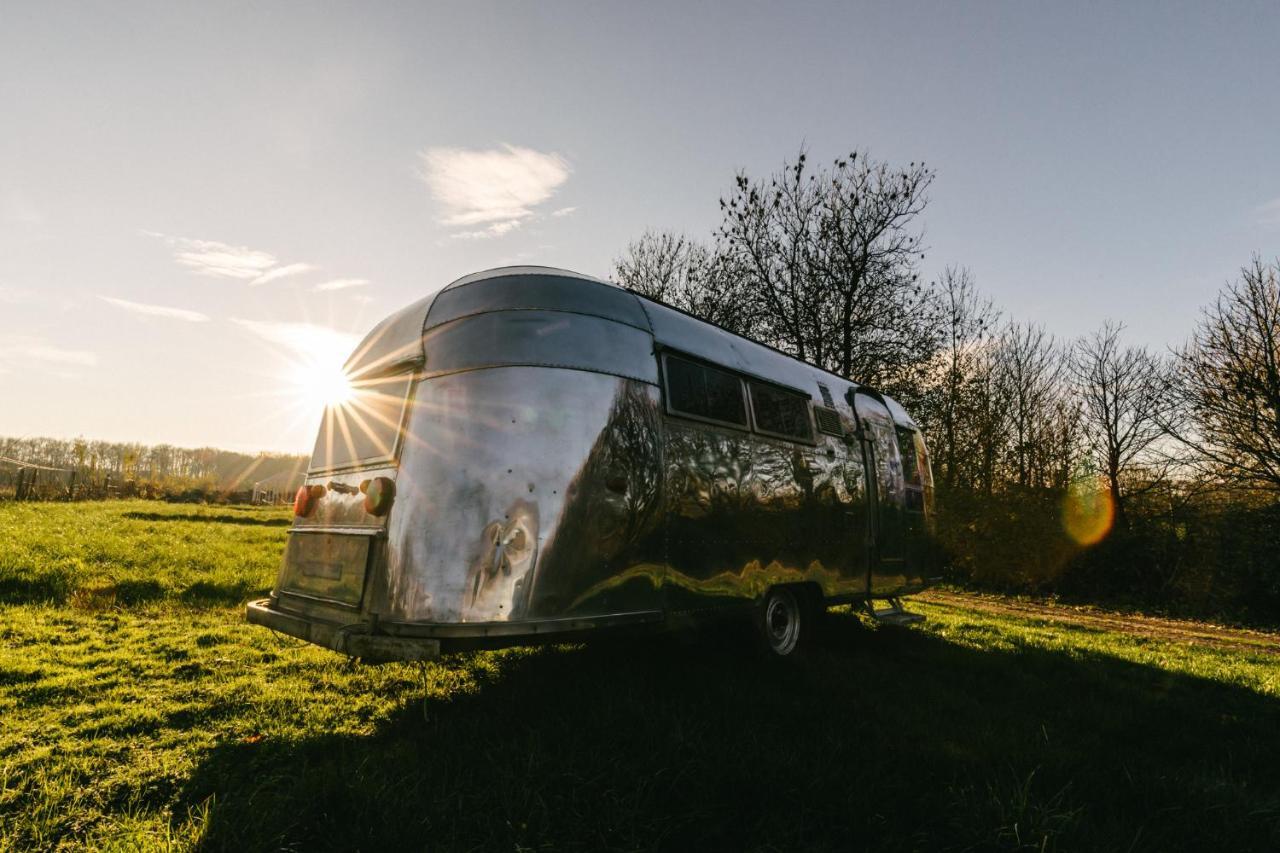 Silver Airstream Glamping & Rental Chichester Exterior photo